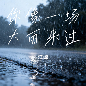 你像一场大雨来过