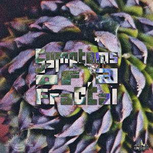 Symptoms of a Fractal