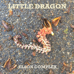 Little Dragon