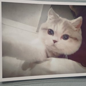 分手也要有风度