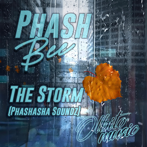 The Storm (Radio Edit)
