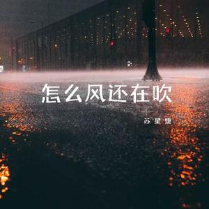 怎么风还在吹 (0.9x)
