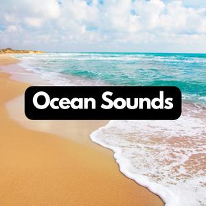 Deep Sea Sounds, Pt. 88
