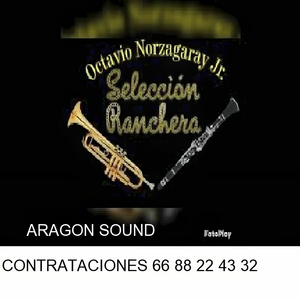 Ojitos de Capulín Güero (En Vivo)