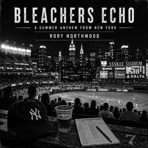 Bleachers Echo