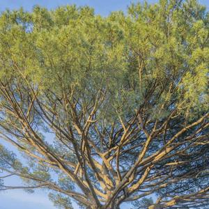 《谁在你面前最像孩子 谁就最爱你》