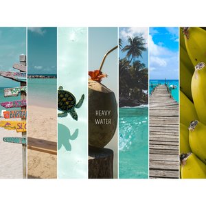 The Paleridge Growlers