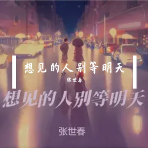 想见的人别等明天