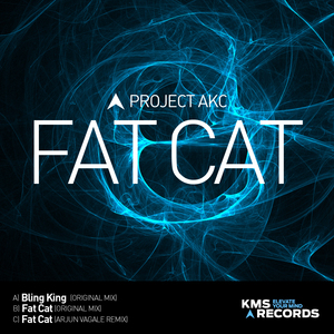 Fat Cat (Arjun Vagale Extended Remix)