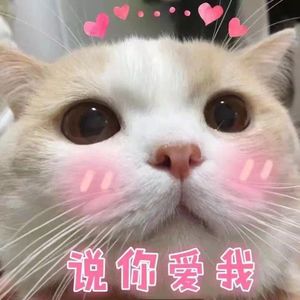 说爱你