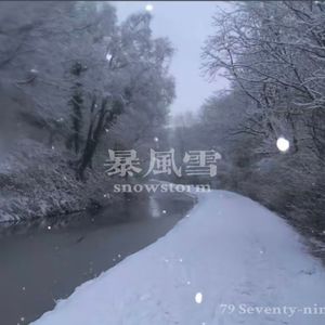 暴风雪Snowstorm