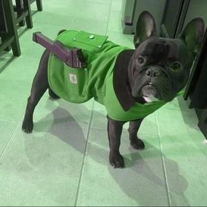 Militant (never Leave Without It)