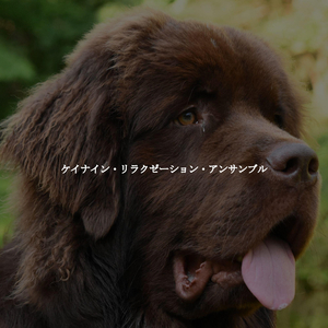 Paradise Like Music for Tea Cleanse