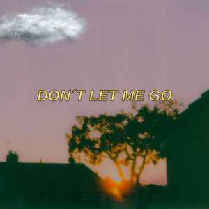 Don't Let Me Go