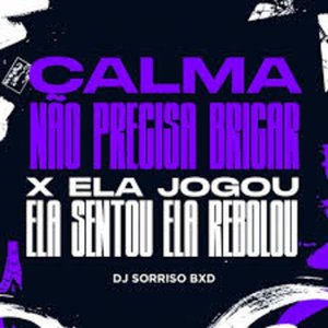 Calma Não Precisa Brigar x Ela Jogo Ela Sentou Ela Rebolou