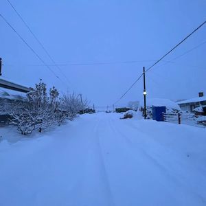 愿爱无忧（吉他版）