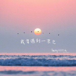 我曾遇到一束光