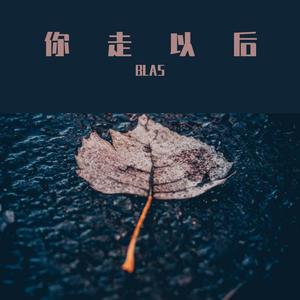 你走以后