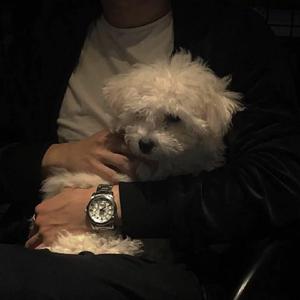 安河桥（翻自 宇西）