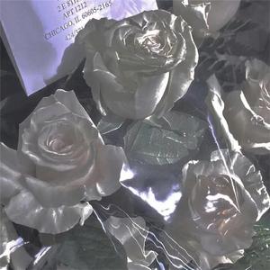 能看见海的街道，微风拂来 (治愈八音盒)