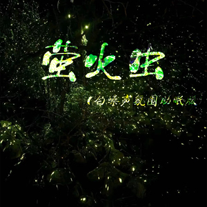 萤火虫 (白噪声氛围助眠版)