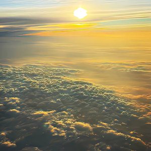 爱你就像咖啡送服安眠药