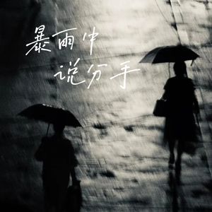 暴雨中，说分手