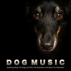 Music For Dogs