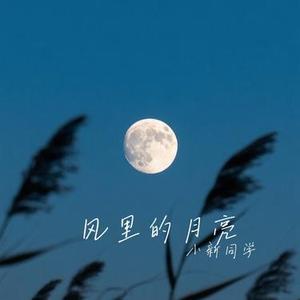 风里的月亮