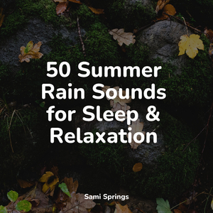 Pane-Struck Rainfall