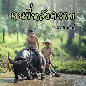 คนขี่หลังควาย