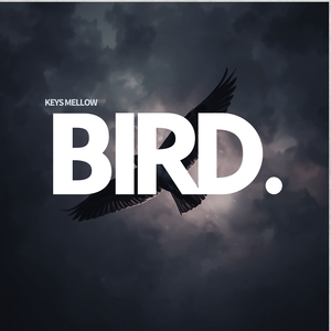 Bird.