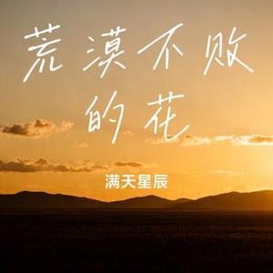 荒漠不败的花 (Cover DJ铁柱)