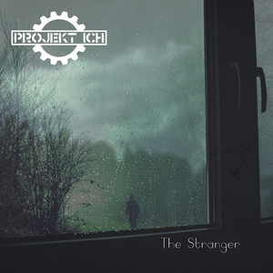 The Stranger (BaseExperience Club RecConstruction Instrumental Remix)
