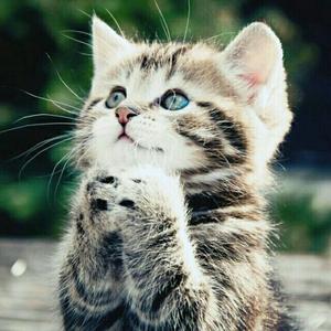 不再联系（磁带版）