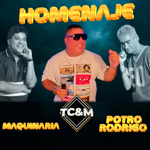 El Potro / En mi cama una cualquiera / Amor de septimo grado (Homenaje Maquinaria, Potro Rodrigo) (En Vivo)