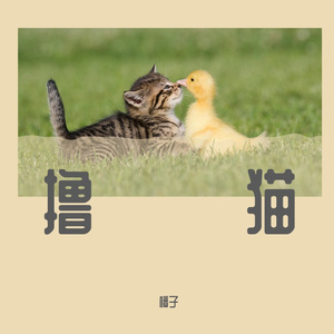 Ban一杯淡水续.WAV