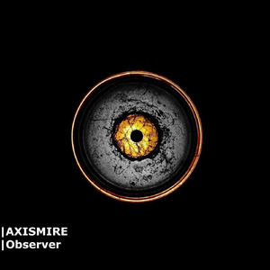 Observer