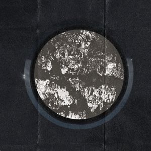 自白书（Cofession letter)