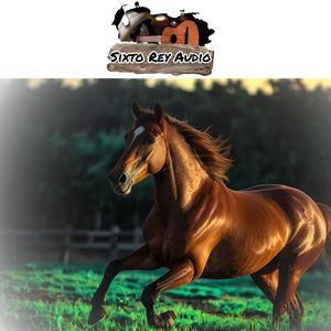 Sigo Siendo una Empresa