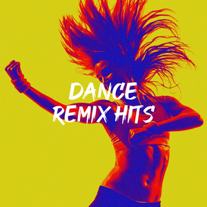 Kiss the Girl (Dance Remix)