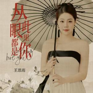 从此眼里都是你DJ版