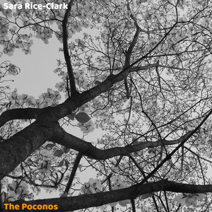 The Poconos