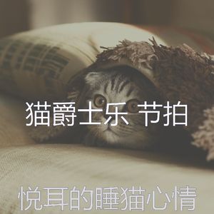 柔和的猫时刻