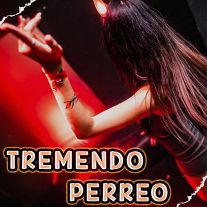 Tremendo Perreo 3