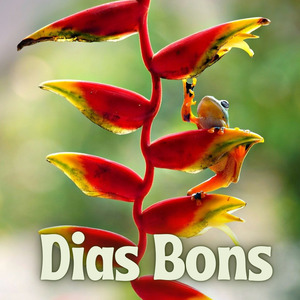 Dias Bons