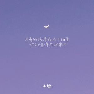 月亮的浪漫存于诗里 你的浪漫在我眼里