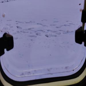 Vuoto (Dante Tono di Voce)