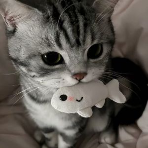 失眠了（DJ阿柒 remix）