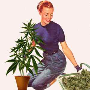 园丁 (Tyga x Gunna Ft. DaBaby Type Beat)